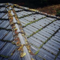 Roof Cleaning & Roof Moss Control Treatments roof before 200x200 Roof Cleaning & Roof Moss Control Treatments