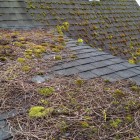 Roof Cleaning & Roof Moss Control Treatments roof cleaning before4 140x140 Roof Cleaning & Roof Moss Control Treatments