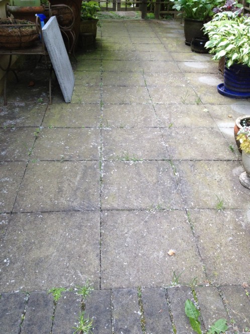 Paving Stone Pressure Washing And Cleaning North Vancouver Concrete Patio Slabs Before Power Washing