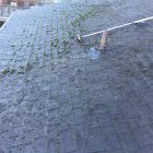 Permalink to Roof Cleaning Victoria, roof moss removal