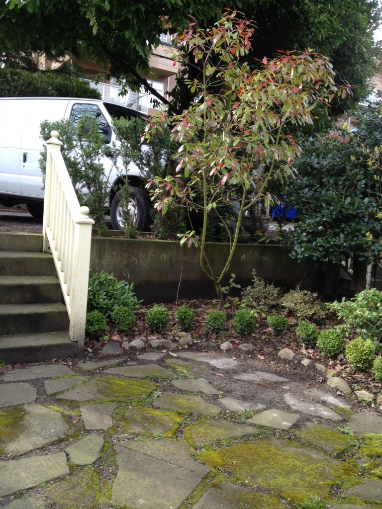 Power Washing Vancouver & House Washing Vancouver A Glass Act