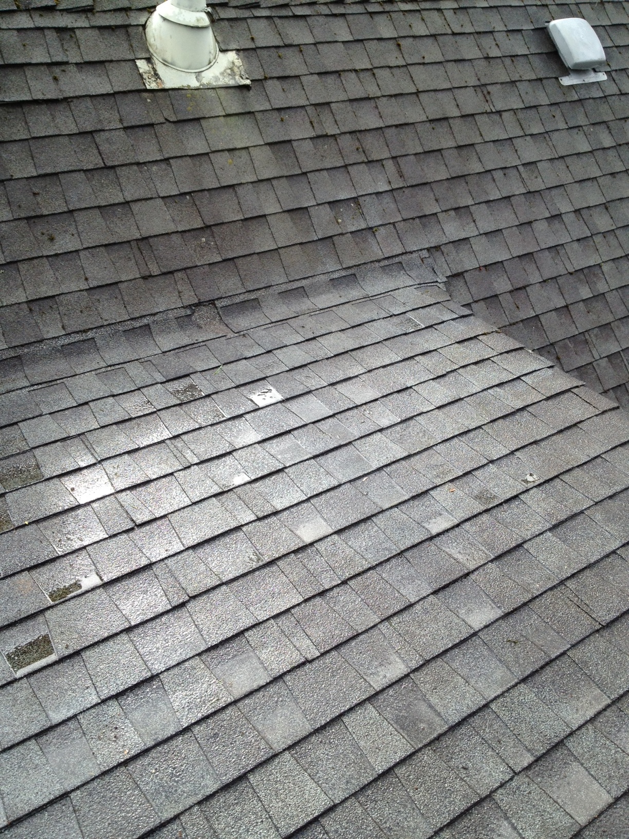 New Westminster Roof Cleaning