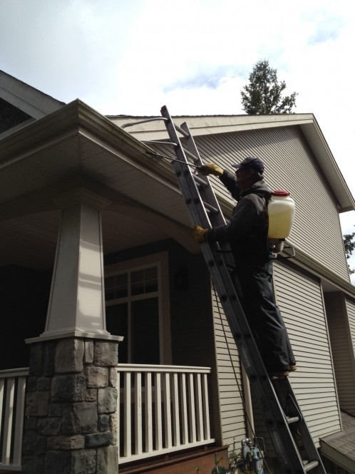 House Washing Vancouver