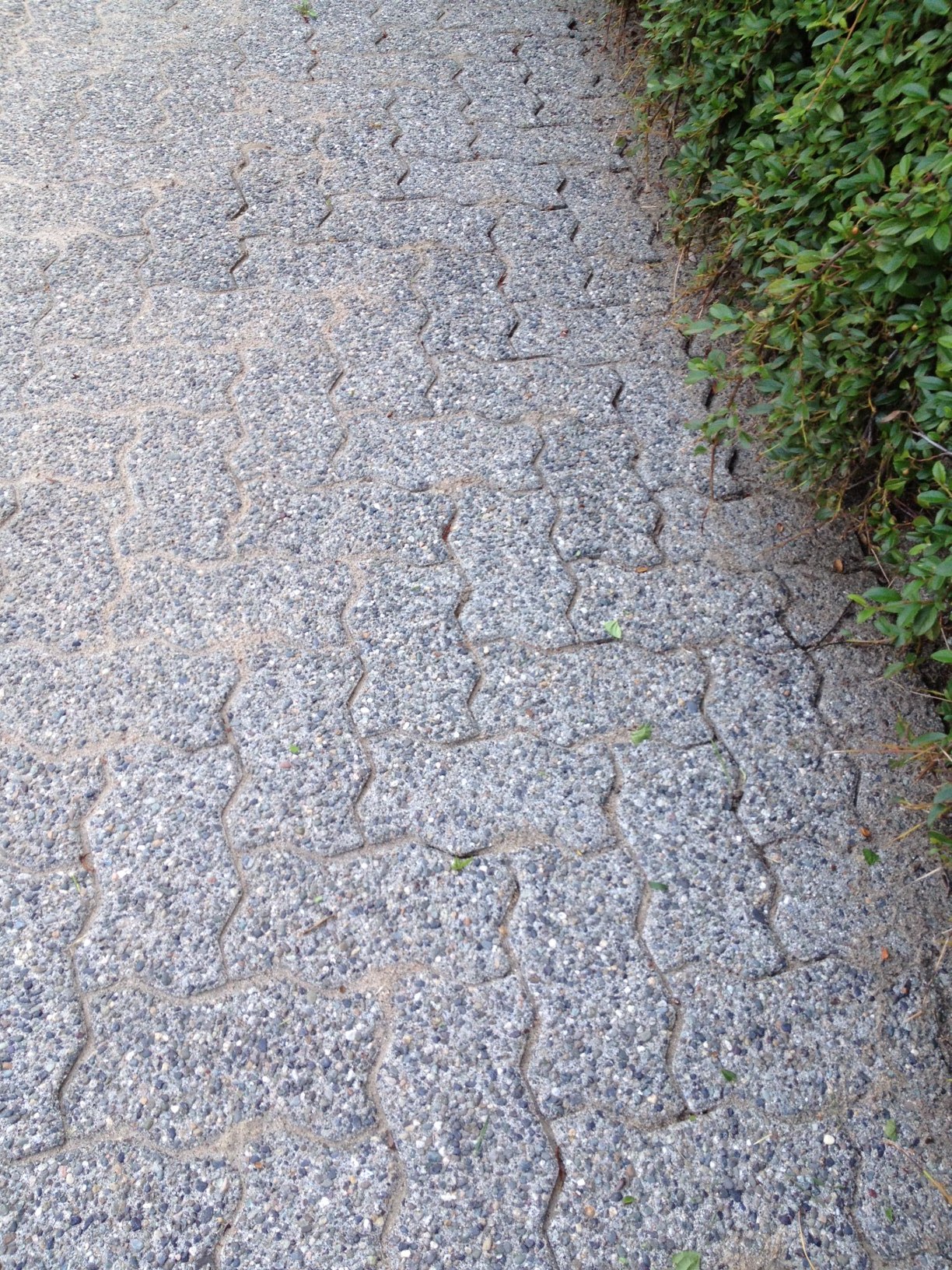 Driveway Paving Stone Power Wash & Re-Sanding North Vancouver